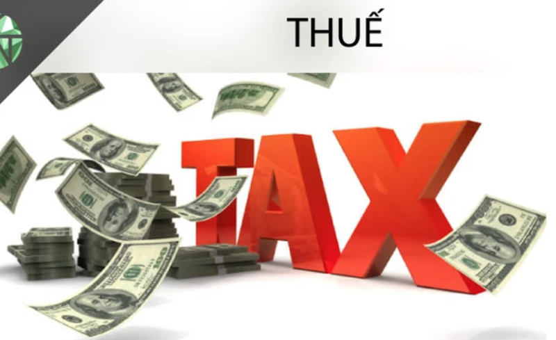 Khai báo thuế - Hướng dẫn chi tiết để thực hiện đúng quy định