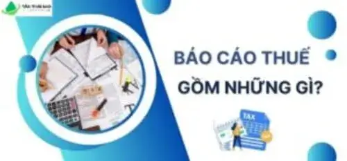 dich-vu-bao-cao-thue-gia-re-giai-phap-toi-uu