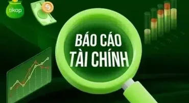 bao-cao-tai-chinh-hieu-ro-va-ung-dung-hieu-qua-trong-doanh-nghiep