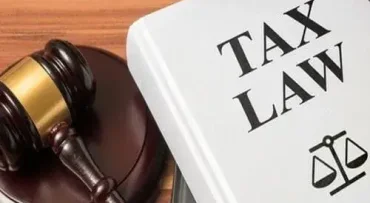 dich-vu-bao-cao-thue-dich-vu-ke-toan-giai-phap-toi-uu-giup-doanh-nghiep-phat-trien